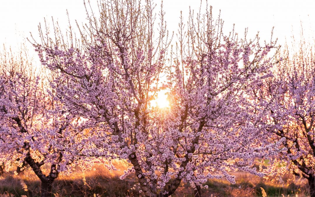 Programme de l&rsquo;année scolaire 2025-2026