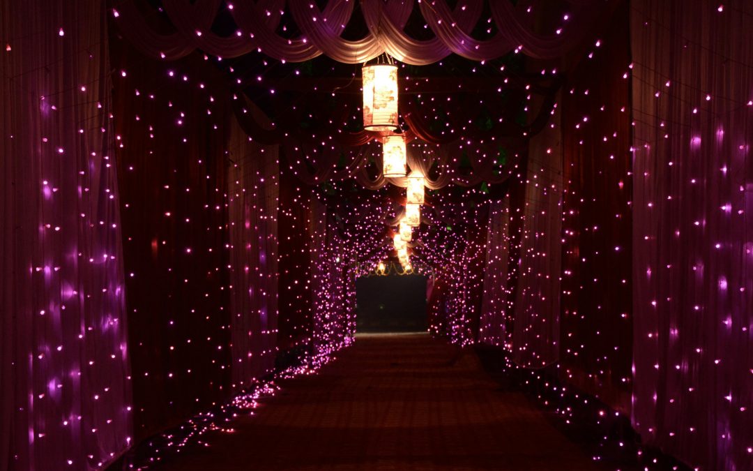 Programme de l’année scolaire 2025-2026